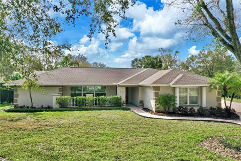 A home in TAMPA