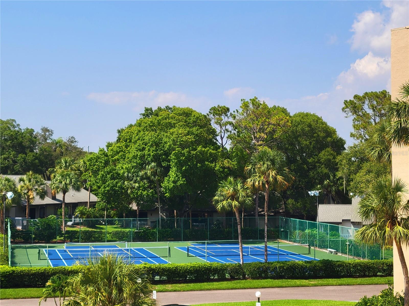 LAKE TARPON SAIL & TENNIS CLUB - Residential Lease