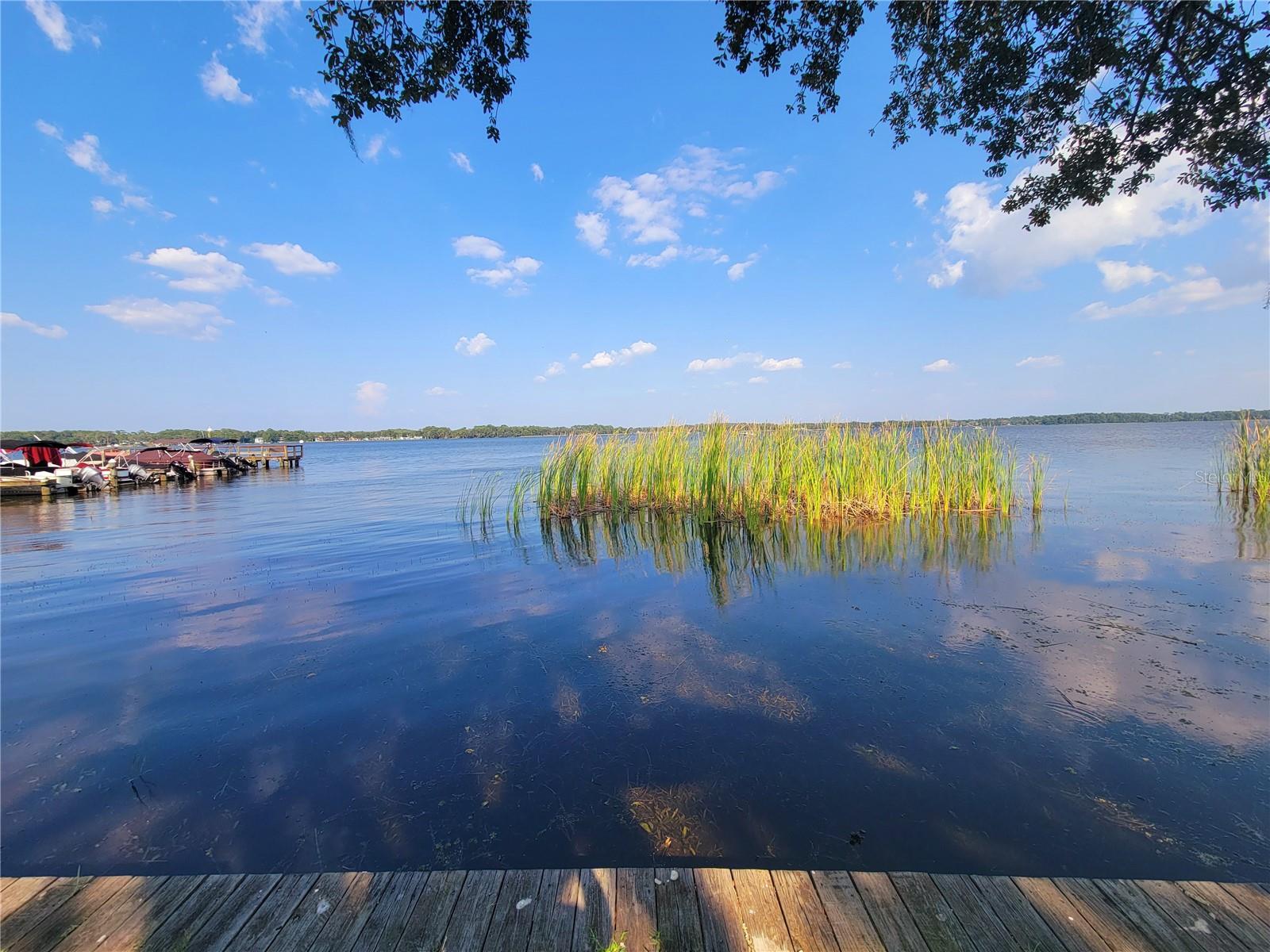 LAKE TARPON SAIL & TENNIS CLUB - Residential Lease