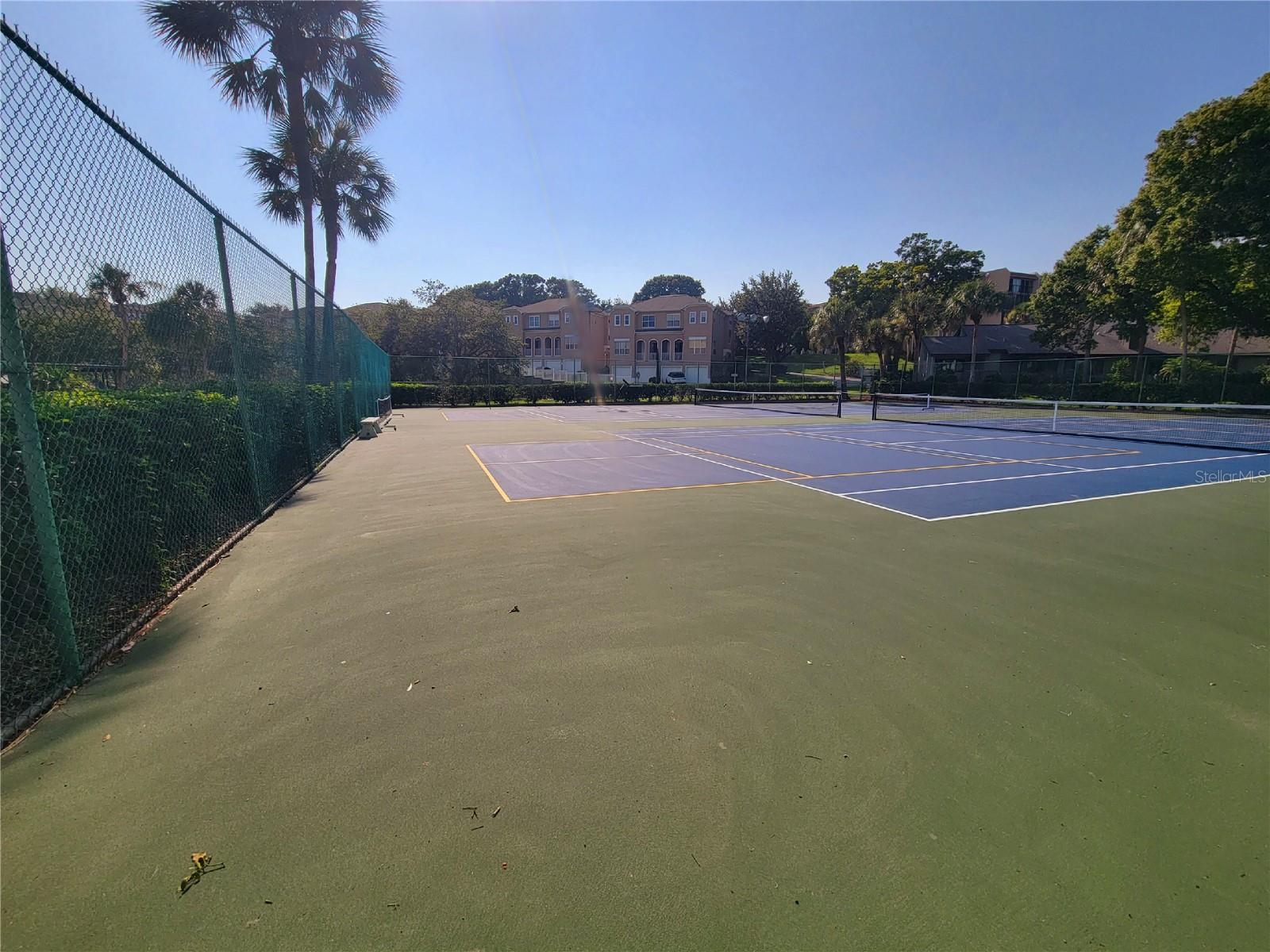 LAKE TARPON SAIL & TENNIS CLUB - Residential Lease