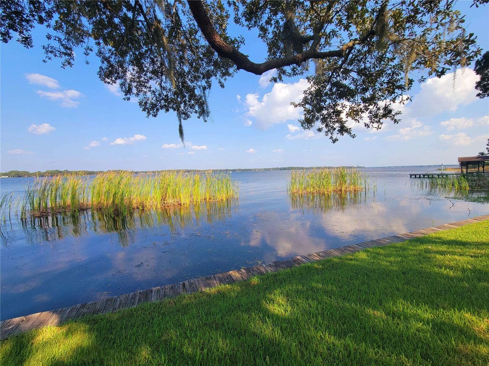 LAKE TARPON SAIL & TENNIS CLUB - Residential Lease