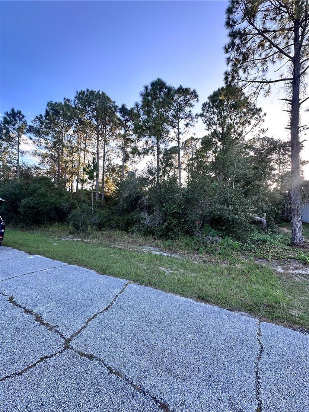 Photo of 1548 Mediterranean Drive, Kissimmee, FL 34759 (MLS # O6347737)