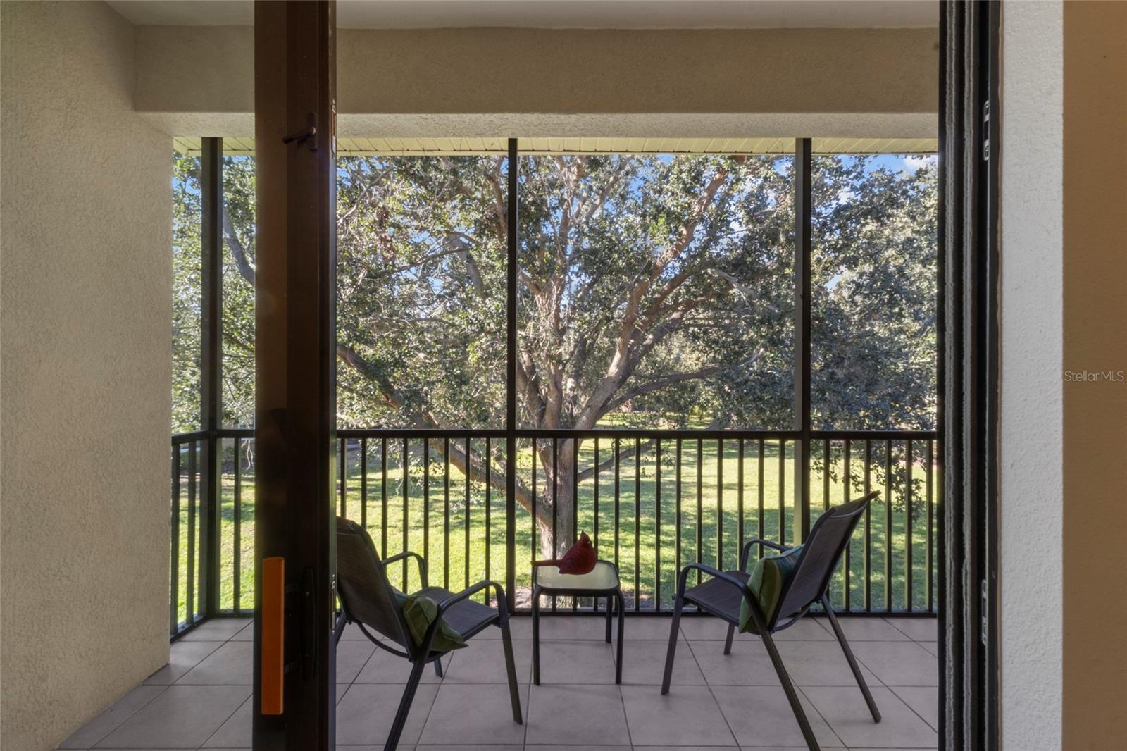 PALMA SOLA TRACE - Residential