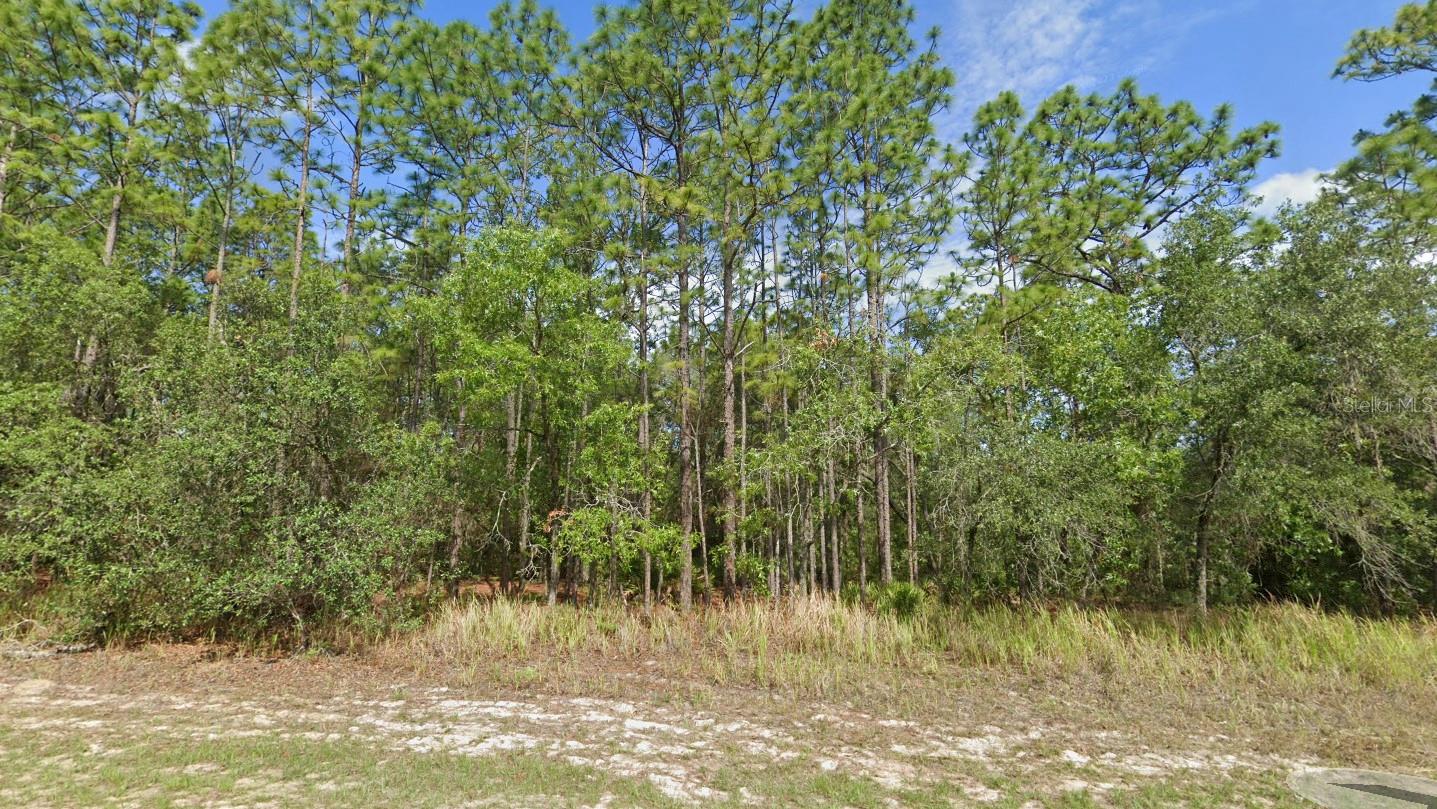 Build your dream home. great lot in a perfect location.
