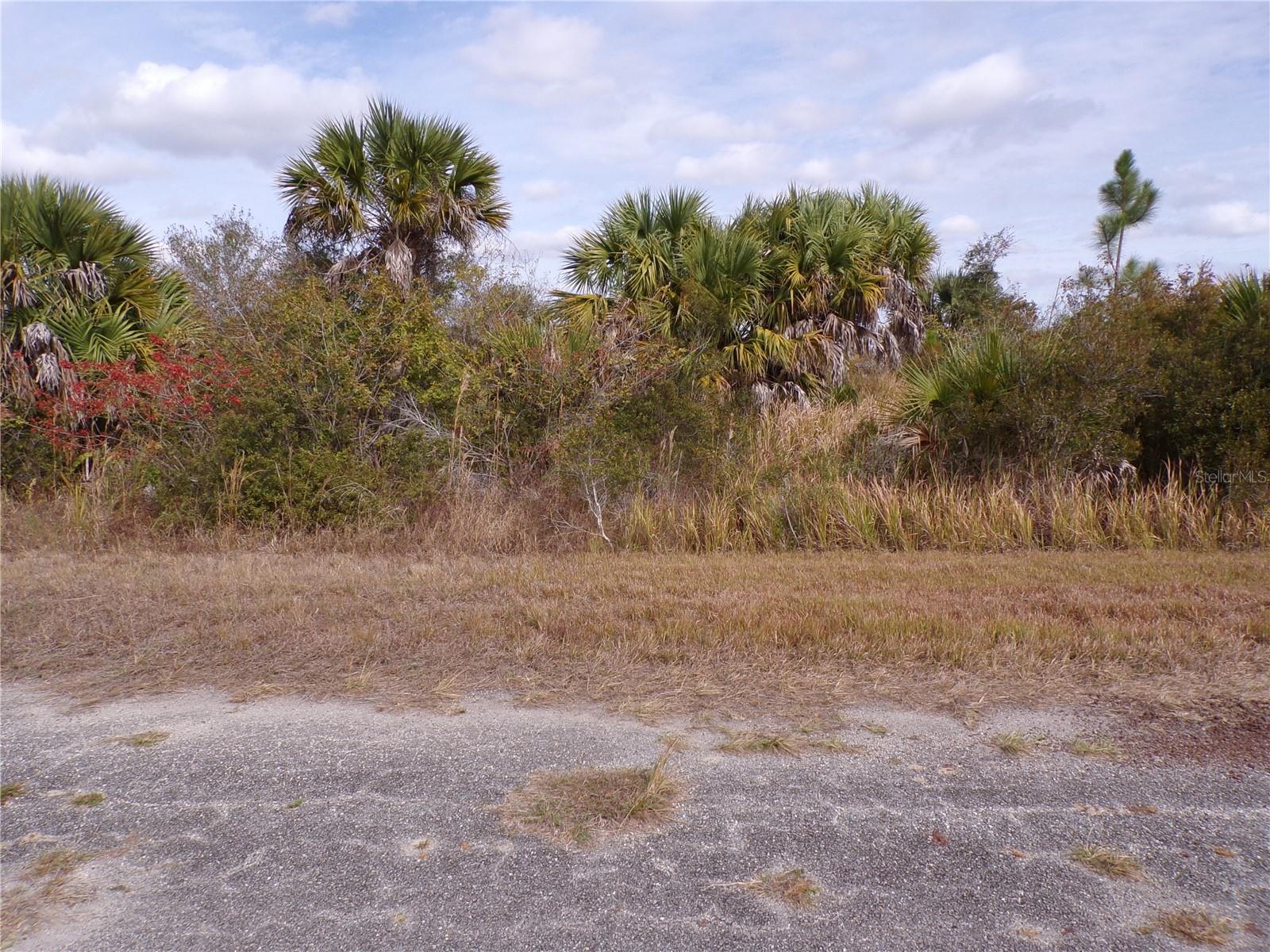 PORT CHARLOTTE SUB 46 - Land