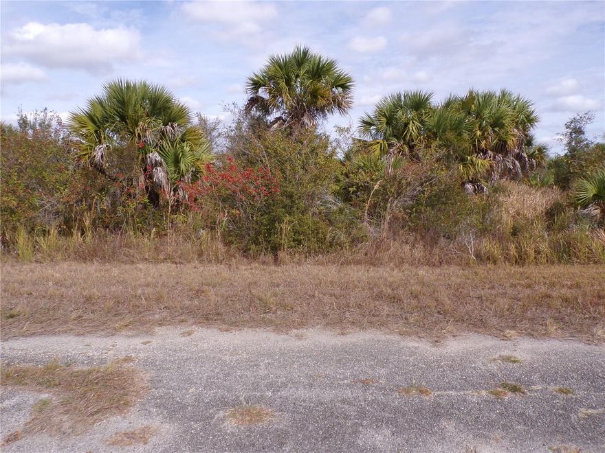 This lot is on a quiet street, that would be a great place to build your dream home and retire or raise your family. Less than 5 miles to I75 makes this location an easy commute to almost anywhere, and only 24 miles to Chadwick park at Englewood Beach with amazing sunsets, 10 miles to Cocoplum Village Shops with lots of shopping and dining options. Atlanta Braves spring training and the fairgrounds are just minutes away, also multiple golf courses and some of the best boating and fishing in all of Florida. Red Soxs, Orioles, Twins and Rays spring training all within an hour’s drive. Buyer and buyers’ reps are responsible for determining environmental conditions and endangered species restrictions. This lot is priced to sell so please call for availability! This lot is at a great price point for the investor call today.