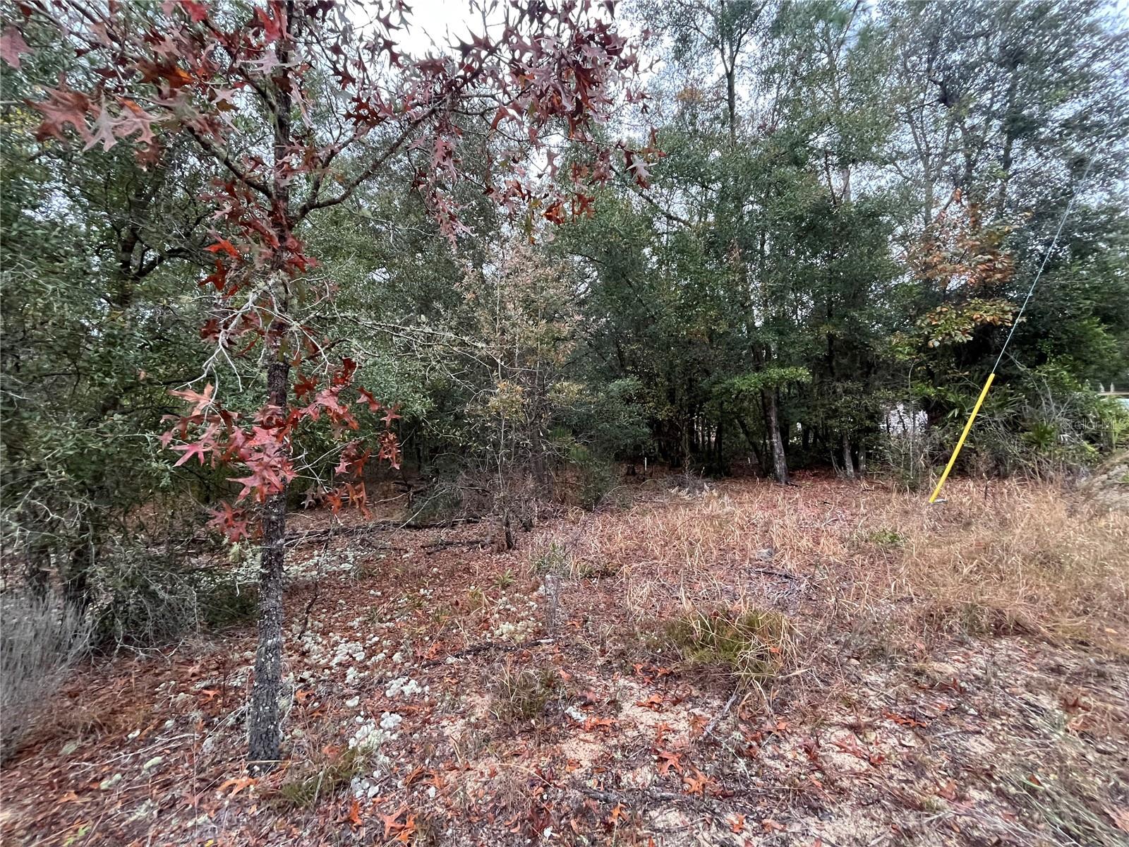 GRANDIN LAKE HEIGHTS SUB - Land