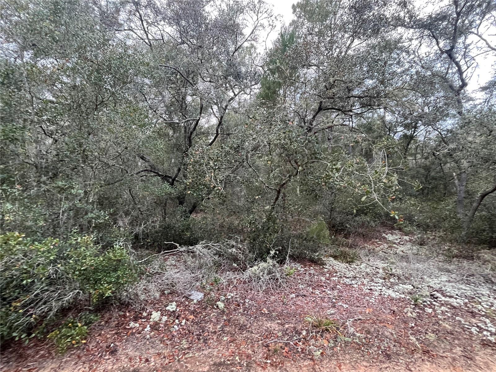 GRANDIN LAKE HEIGHTS SUB - Land