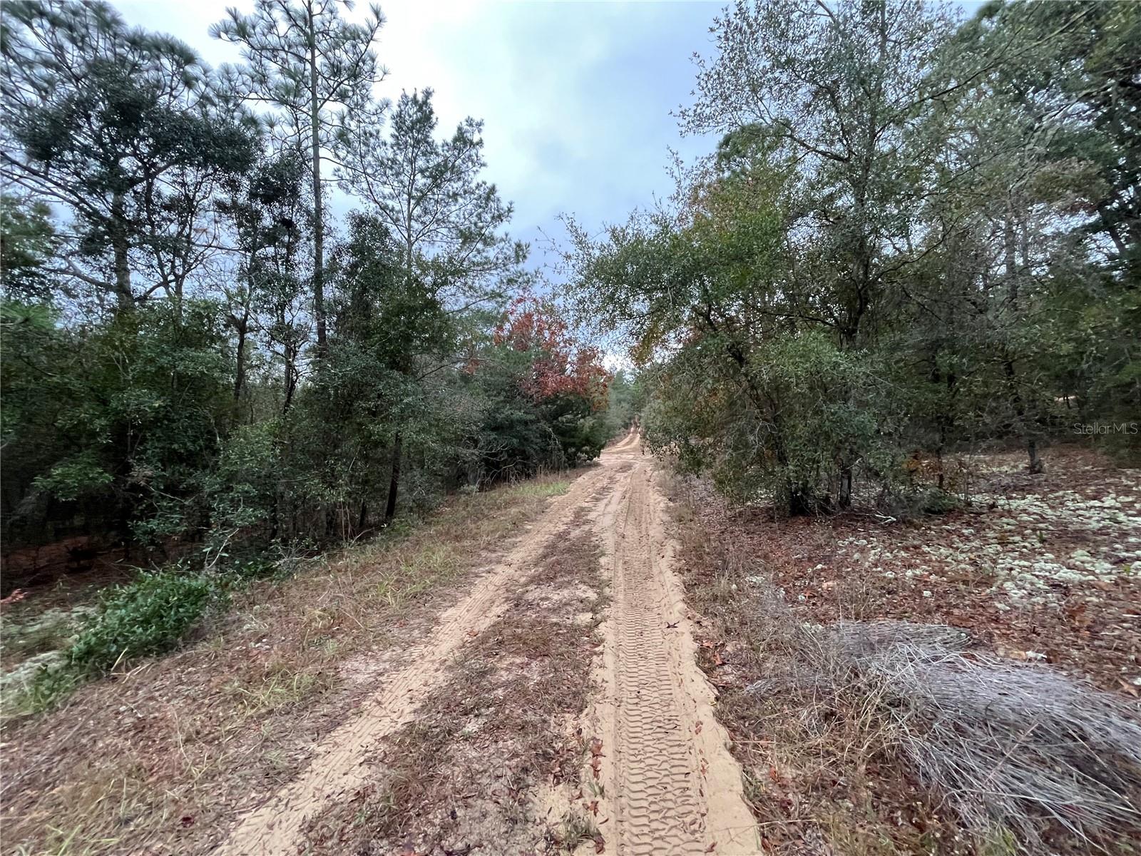 GRANDIN LAKE HEIGHTS SUB - Land