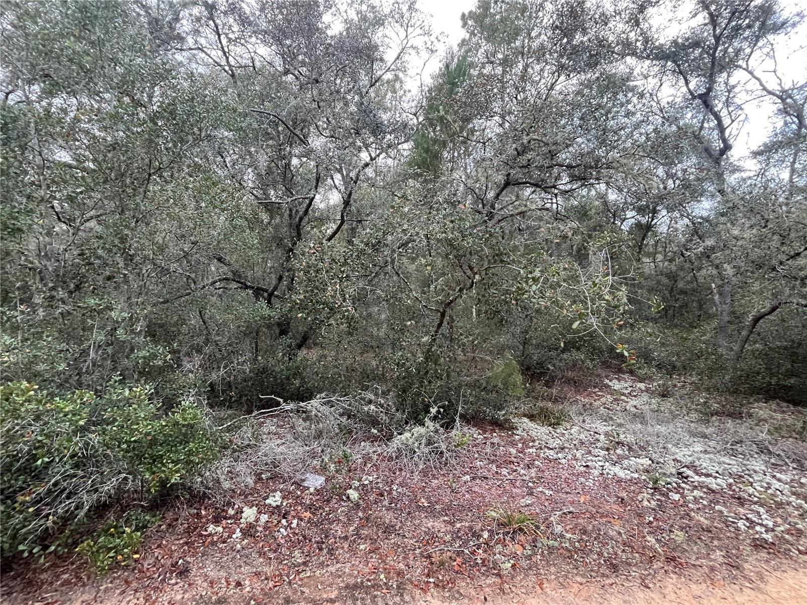 GRANDIN LAKE HEIGHTS SUB - Land