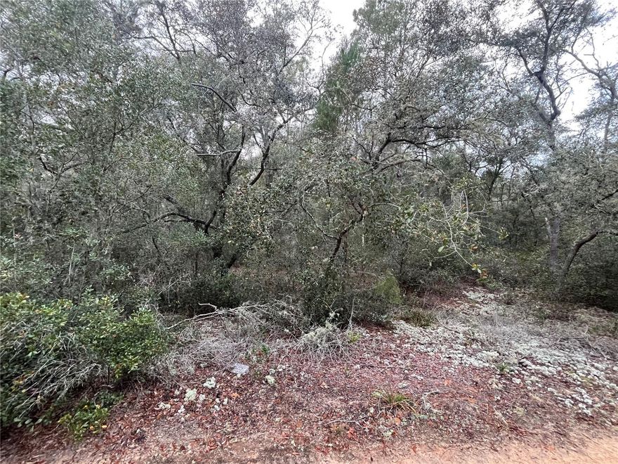 Don't Miss out on this High and dry LOT. Looking to purchase your dream property in Florida, look no further. This lot is listed below market value! Buying Land in Florida is a solid investment for your future, build your dream home, vacation home, rental investment or let the land build value as a great long-term investment to resell for a future profit. For directional purposes use 135 Alabama Ave