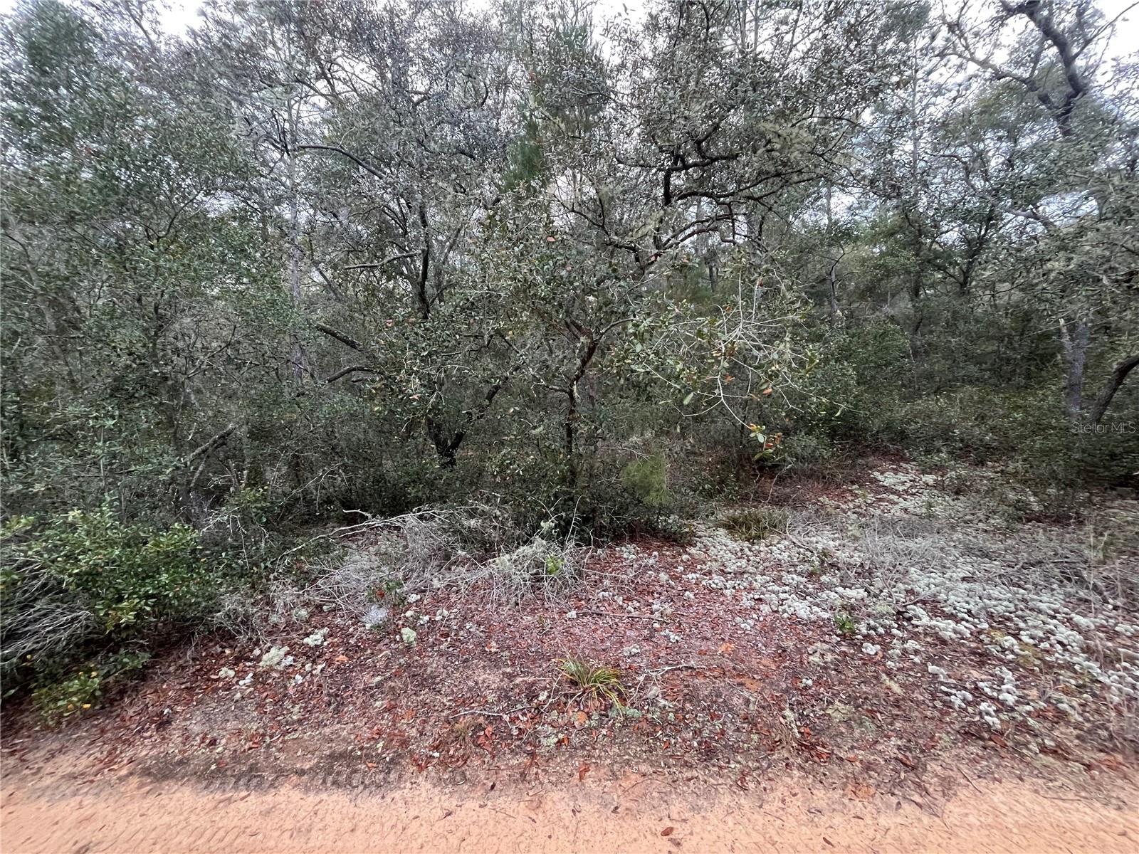 GRANDIN LAKE HEIGHTS SUB - Land