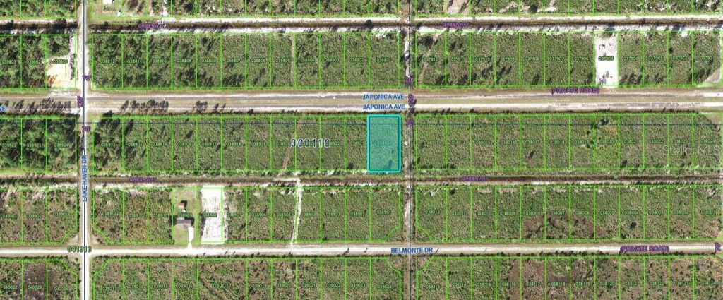 Photo of 501 Japonica Avenue, Indian Lake Estates, FL 33855 (MLS # O6354834)