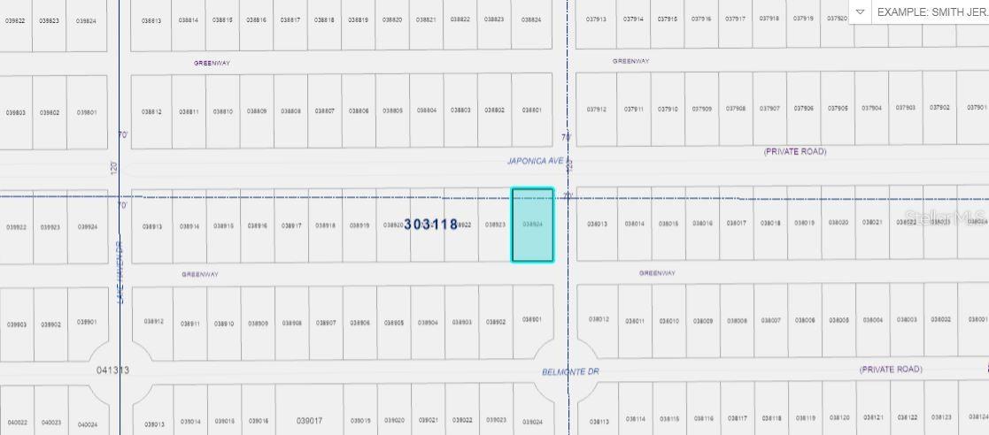 INDIAN LAKE ESTATES - Land
