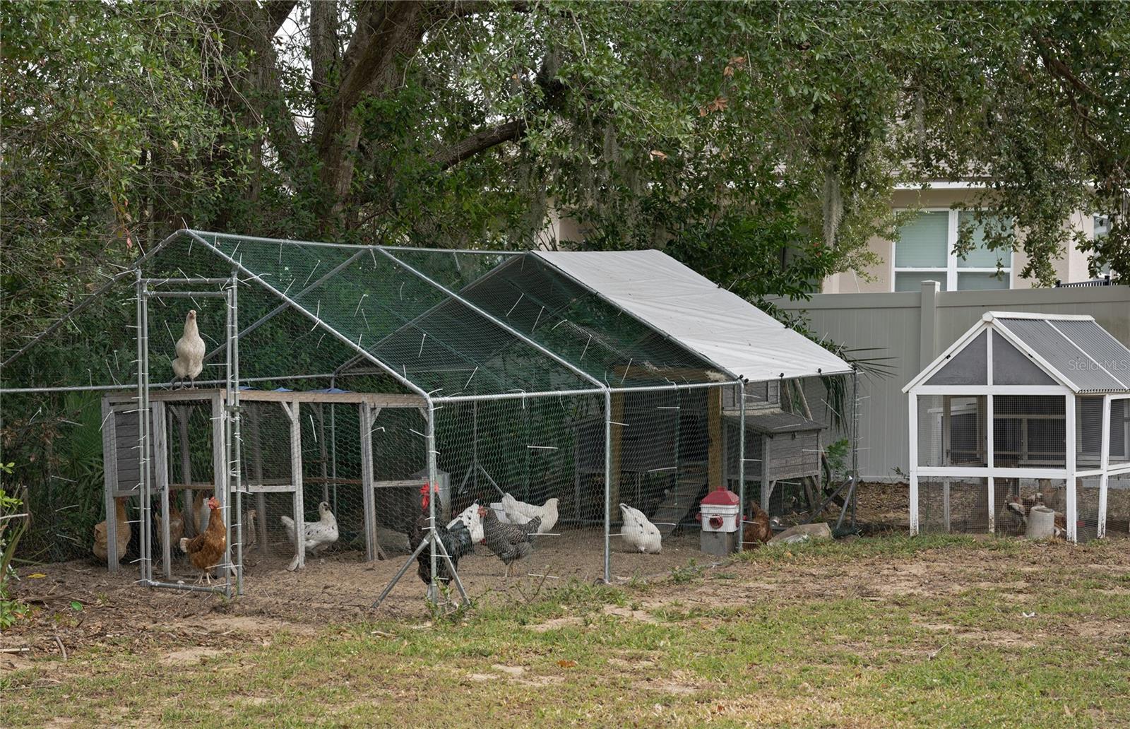 MOCKINGBIRD HILL - Residential