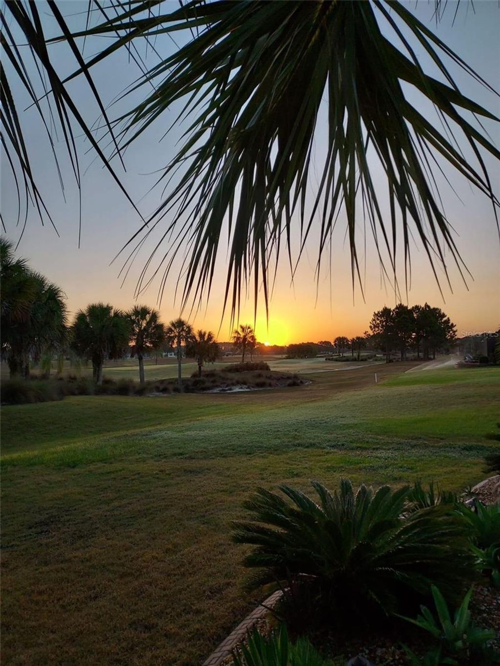 Photo of Tbd SE 58th Avenue, Ocala, FL 34480 (MLS # OM619222)