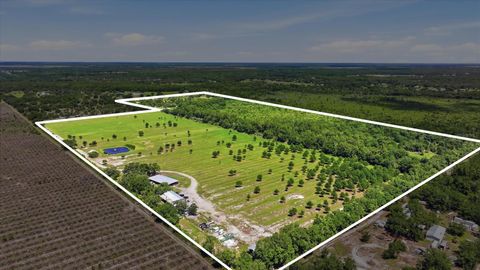 Photo of 6204 Juel Gill Road, Myakka City, FL 34251 (MLS # A4694737)