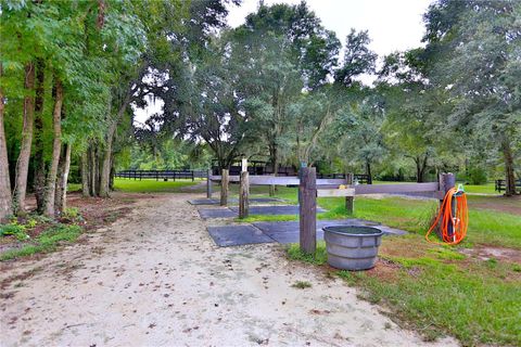 Tiny photo for 21930 NE Highway 27, Williston, FL 32696 (MLS # OM694605)