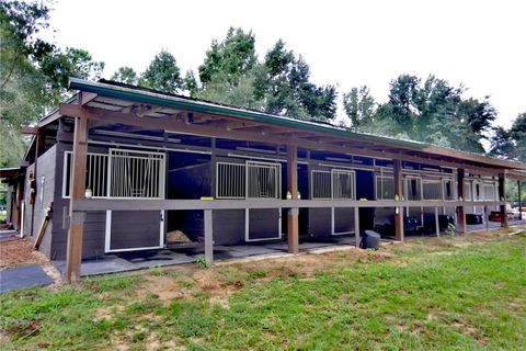 Tiny photo for 21930 NE Highway 27, Williston, FL 32696 (MLS # OM694605)