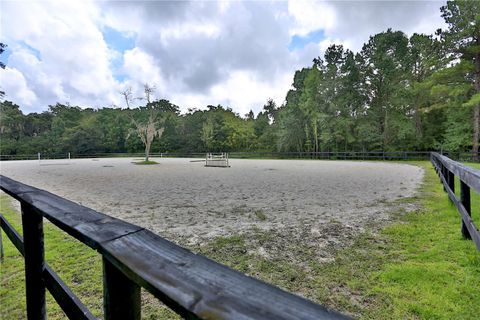 Tiny photo for 21930 NE Highway 27, Williston, FL 32696 (MLS # OM694605)