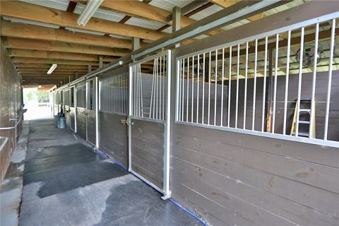 Tiny photo for 21930 NE Highway 27, Williston, FL 32696 (MLS # OM694605)