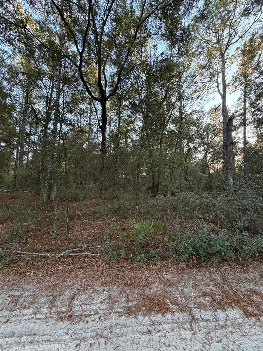 Location, location, location – a rare find! This 1.25-acre lot is ready for your dream home – whether you want to build on your lot or bring a manufactured home. Lot immediately next to it (4089-008-000) also for sale, buy both and own 2.5acres. Situated on a compacted road (not sand) and directly facing Ross Prairie Forest, you’ll enjoy privacy with no front neighbors. Are you searching for peaceful country living while staying close to everything - this is it! Just 1 mile from Hwy 200, with a hospital, Walmart, shopping, and dining only minutes away. The expansive lot gives you plenty of space for your home plus all your toys, RV, or boat.Build now or hold as an investment – the choice is yours. Or create your own farm. And bring your chickens, cows, goats, horses, bring them all! Experience the best of both worlds: a secure, private setting while being only minutes from city conveniences. Love the outdoors? You’ll be near endless recreational opportunities including biking, hiking, and kayaking in beautiful Ocala. And don’t forget, the world-famous World Equestrian Center only 15miles away, and Rainbow Springs is only 13 miles away! Don’t miss this opportunity to own a piece of Florida paradise!