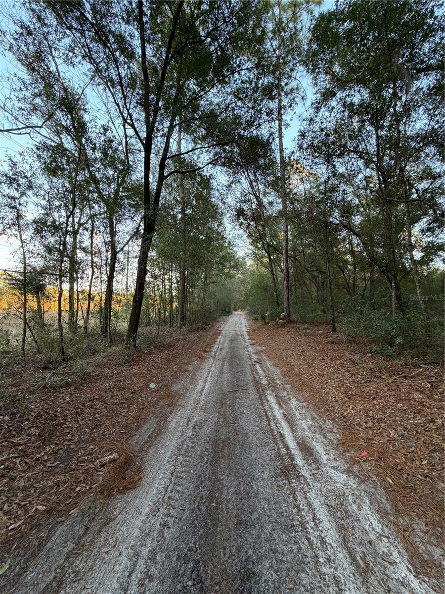 FLORIDA HIGHLANDS - Land