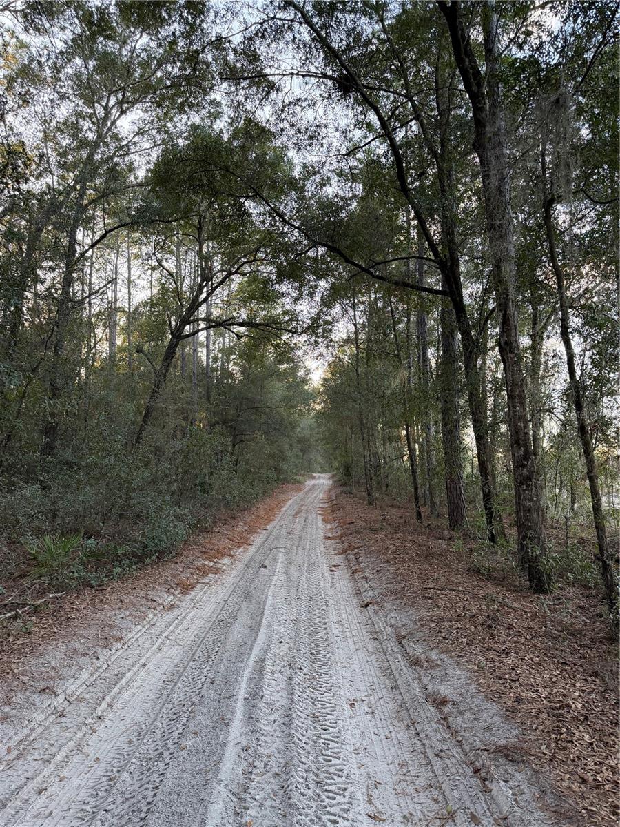 FLORIDA HIGHLANDS - Land