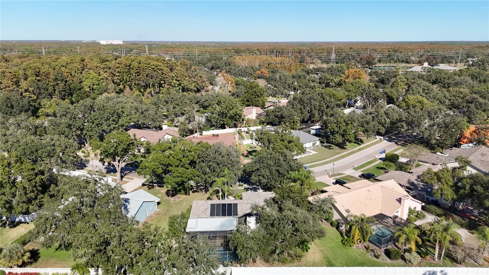 TAMPA PALMS UNIT 3 REP OF - Residential