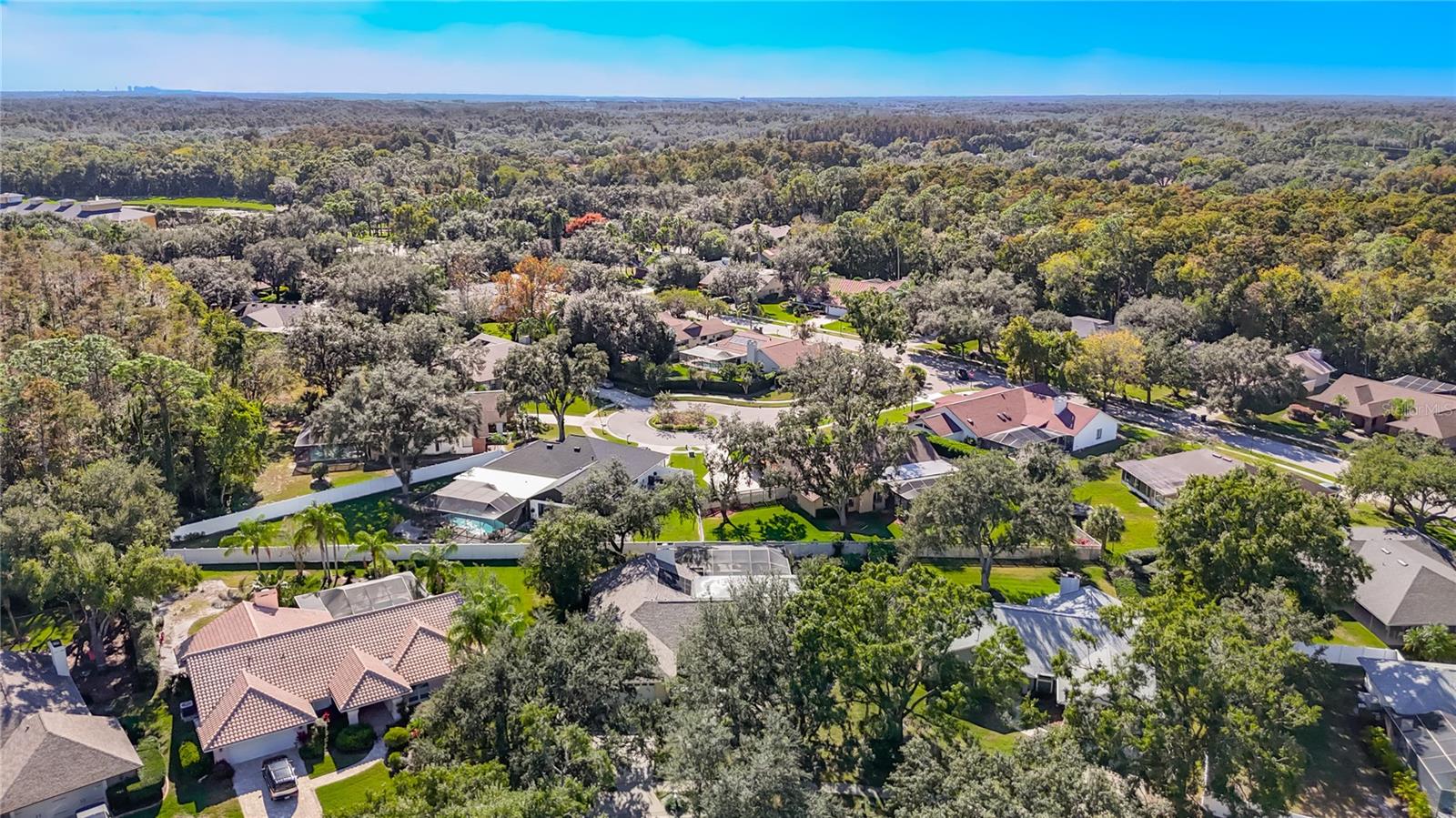 TAMPA PALMS UNIT 3 REP OF - Residential