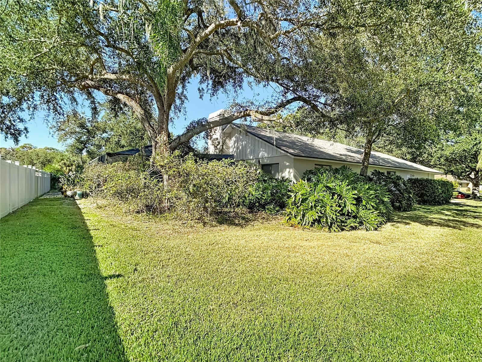 TAMPA PALMS UNIT 3 REP OF - Residential