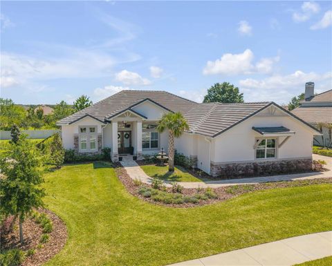 Photo of 3055 Isola Bella Boulevard, Mount Dora, FL 32757 (MLS # NS1087972)