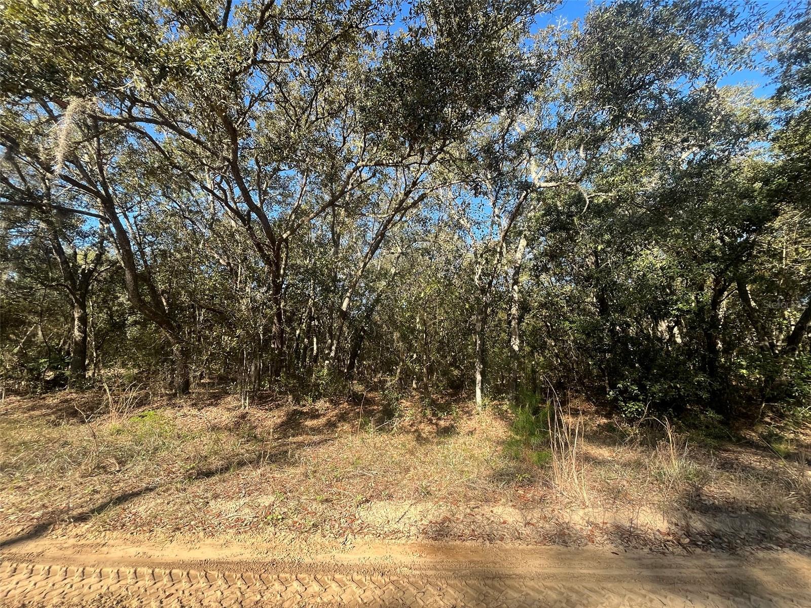 Do not miss out on this oversized 0.98-acre high and dry lot in the growing city of Interlachen. With power lines already in place, accessing electricity is a breeze. Located within minutes of schools, restaurants, diners, and parks. An easy commute to Gainesville or Palatka and less than an hour from the beach. Investing in land in Florida is a wise choice for your future, whether you're looking to build your dream home, a vacation getaway, a rental property, or simply let the land appreciate as a valuable long-term asset to resell at a profit in the future. for directional purposes use 135 banks ave