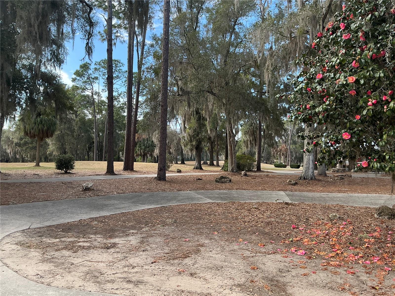 RAINBOW SPRINGS COUNTRY CLUB ESTATES - Residential