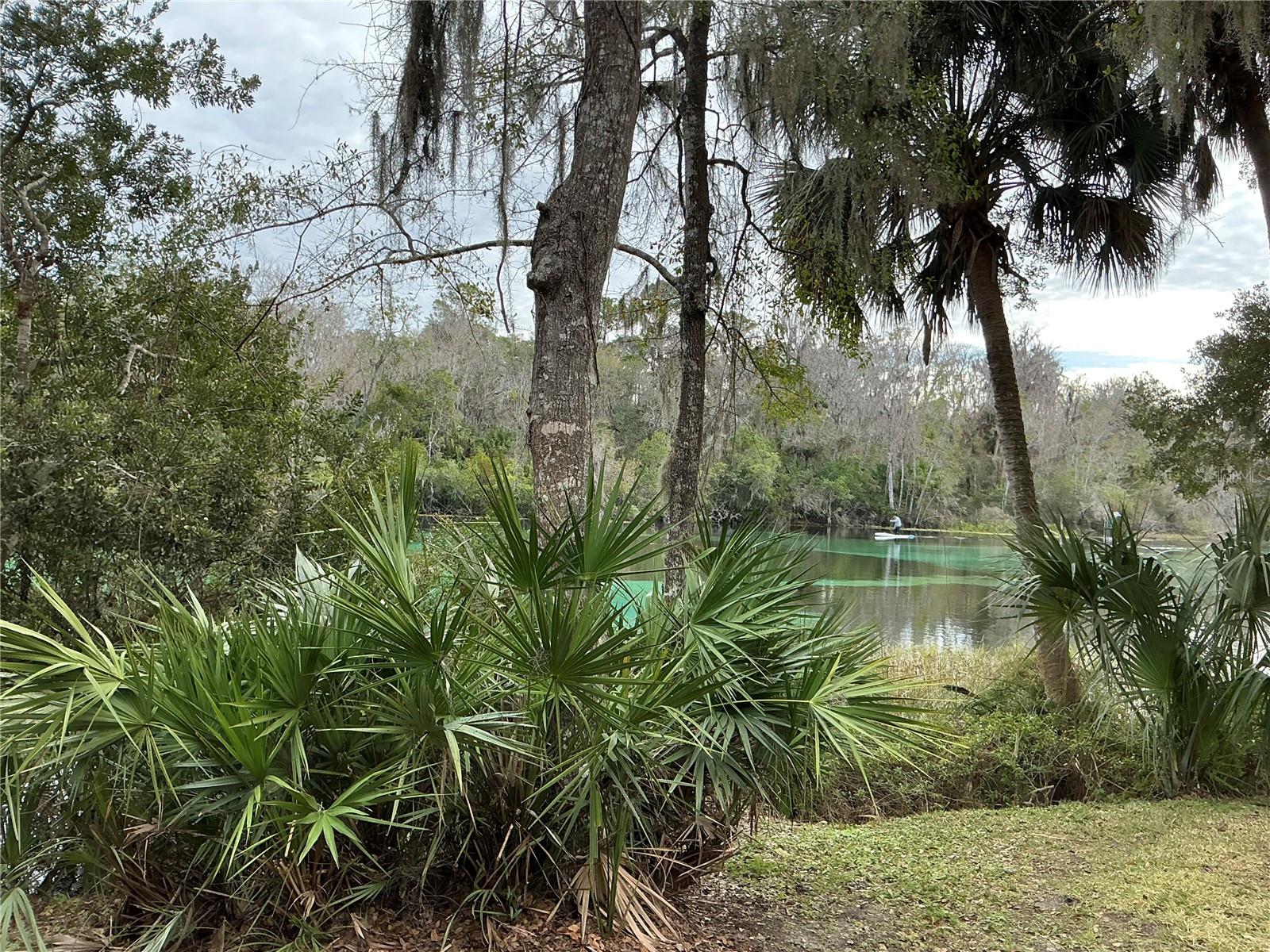 RAINBOW SPRINGS COUNTRY CLUB ESTATES - Residential