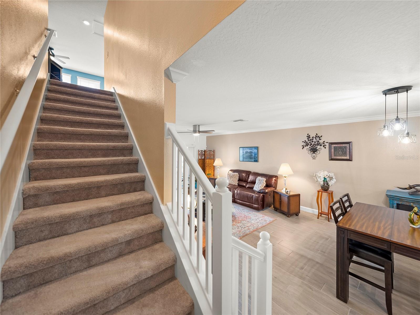 MEDLEY AT SOUTHSHORE BAY - Residential