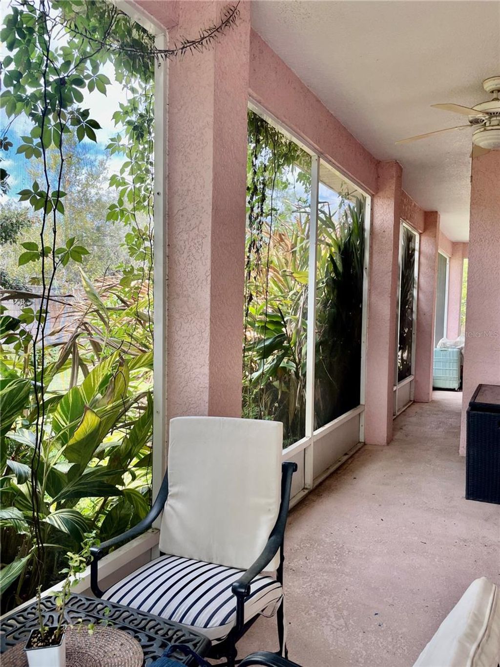 Photo of 21007 Los Cabos Court, Land O Lakes, FL 34637 (MLS # TB8486912)