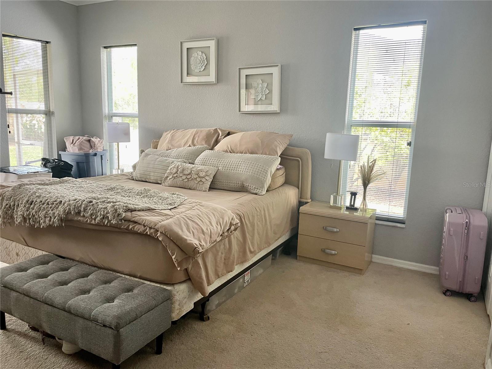 CALIENTE - Residential