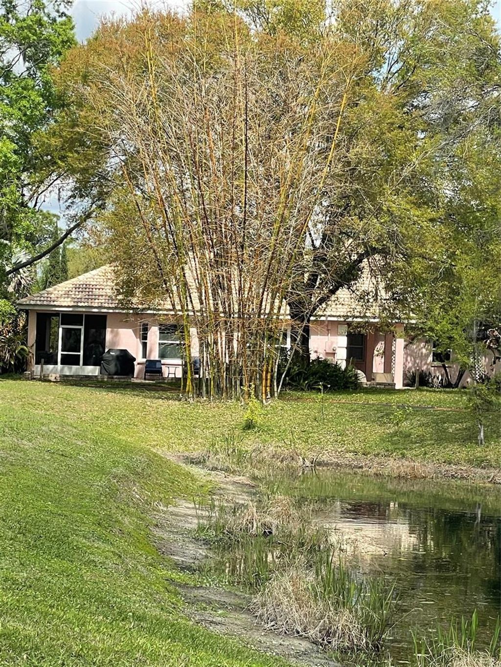 Photo of 21007 Los Cabos Court, Land O Lakes, FL 34637 (MLS # TB8486912)