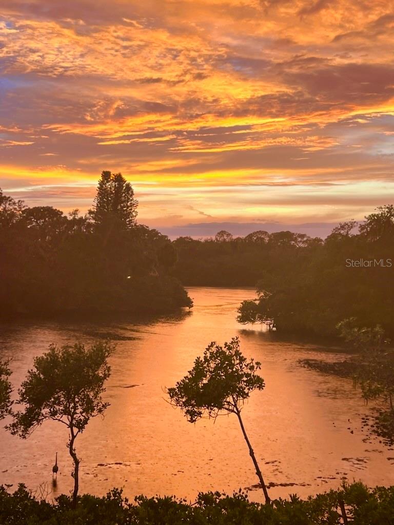 EDGEWATER GARDENS - Residential