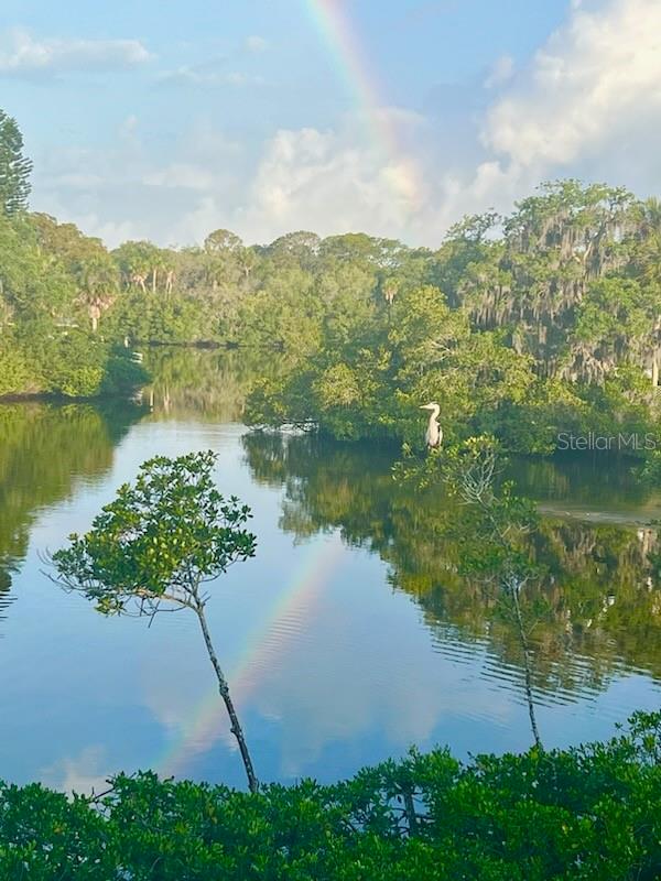 EDGEWATER GARDENS - Residential