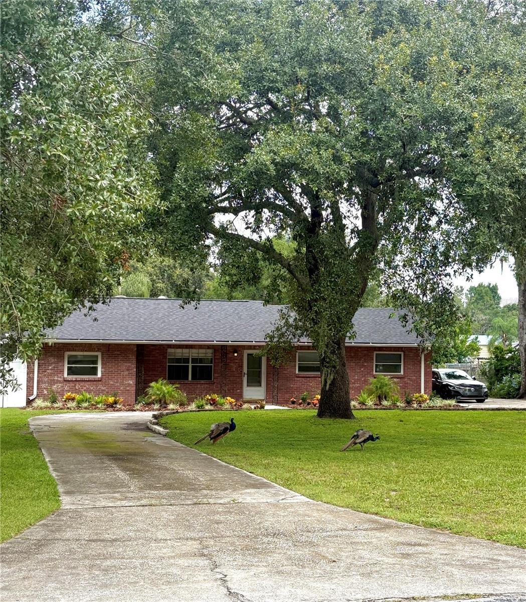 Lovely 4 Bedroom 3 Bath pool home on 1/2+ acre lot. Imagine pulling into your very own 6-car tandem garage with a full bathroom and workshop space—a rare find for car lovers, hobbyists, or anyone who craves room to create. Sitting on over half an acre of land, this property gives you the space and freedom you’ve been searching for. THIS HOME IS SOLAR POWERED!
Inside, the inviting 4 bedroom split-floor plan gives everyone their own space, while the heart of the home is the open kitchen and family room combo with a cozy wood-burning fireplace—perfect for gathering on cool Florida evenings. The formal dining room is ready for holidays and special dinners, while the master suite offers two spacious walk-in closets and master bath.
Step through the French doors and you’ll discover an expansive insulated, covered, and screened patio that overlooks your private in-ground pool. Whether it’s hosting weekend barbecues, unwinding after a long day, or enjoying poolside fun with family and friends, this outdoor space was made for making memories.
With no HOA and plenty of room to spread out, this Brandon home offers the perfect blend of comfort, space, and freedom. This isn’t just a home—it’s the lifestyle you’ve been waiting for. Schedule a showing today. Home will be available October 15th.