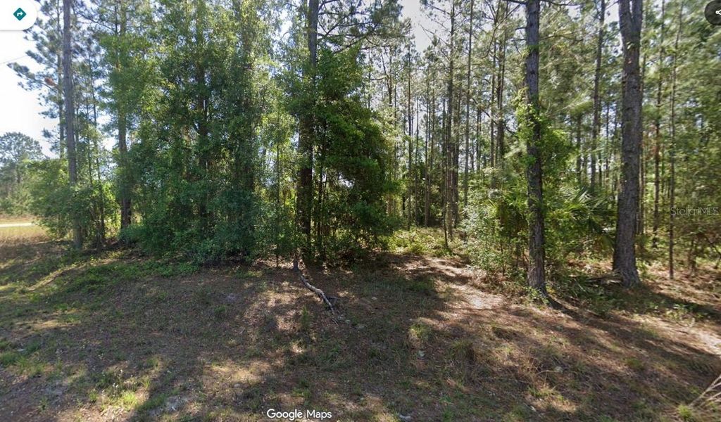 Photo of Sequoia Dr, Ocklawaha, FL 32179 (MLS # O6350421)