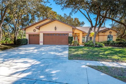 4589 GLENBROOK CIRCLE PALM HARBOR FL 34683