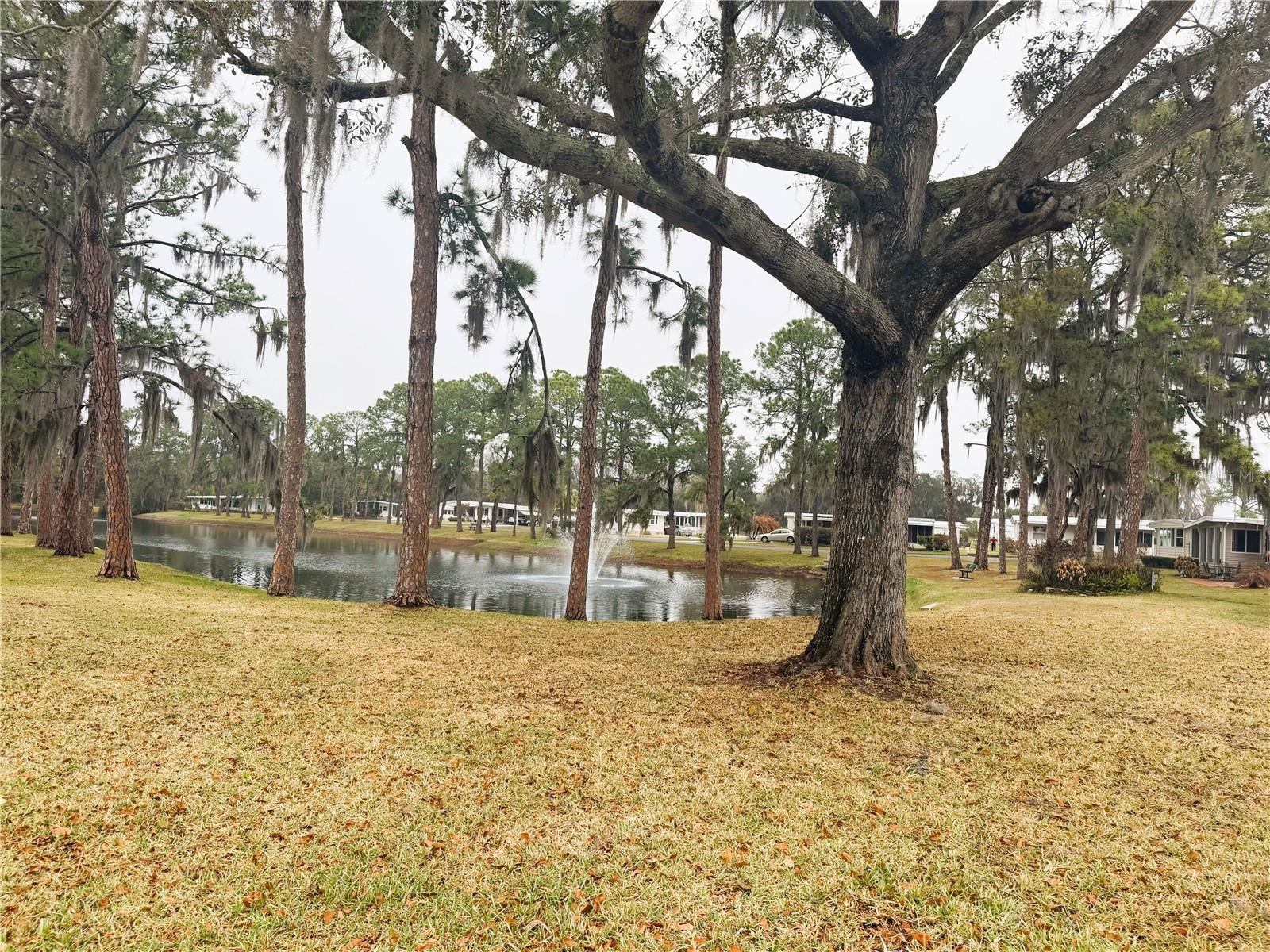 HAWTHORNE AT LEESBURG A COOP - Residential