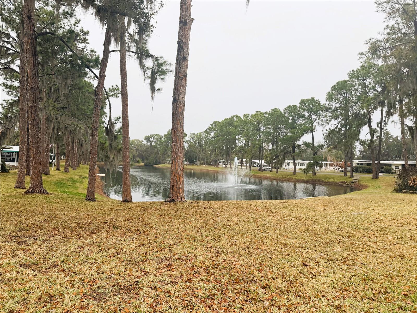 316 PALO VERDE DRIVE