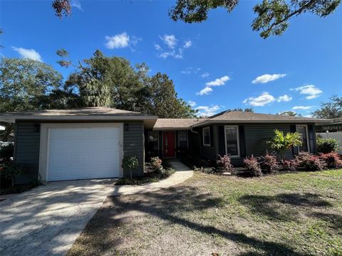 A home in MOUNT DORA