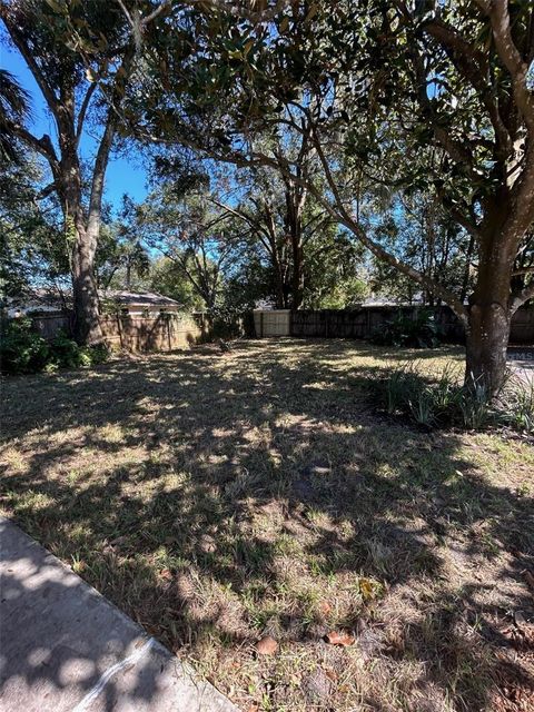 A home in MOUNT DORA