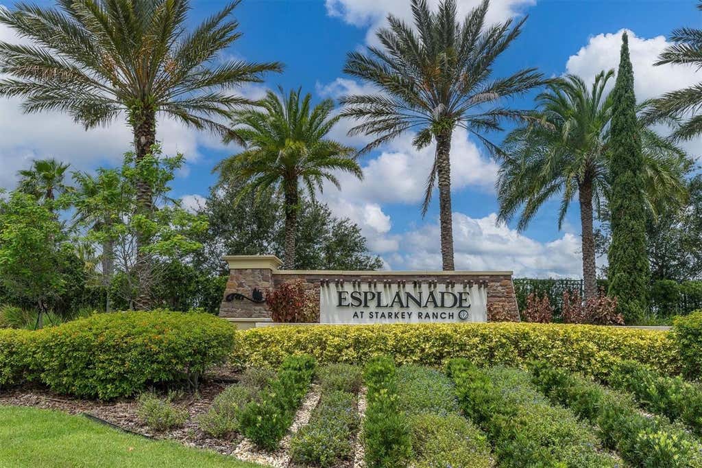 Photo of 3142 Francoa Drive, Odessa, FL 33556 (MLS # TB8533418)
