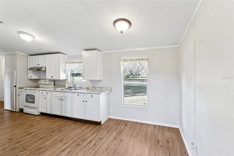 Tiny photo for 16642 SE 58th Avenue, Summerfield, FL 34491 (MLS # G5105892)